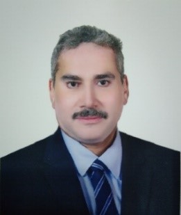 Prof. Hesham M. El-Badawy