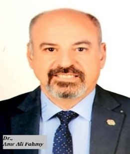 Dr. Amr Ali Fahmy
